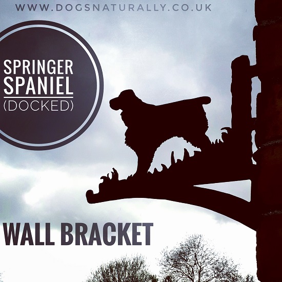 English Springer Spaniel Wall Bracket